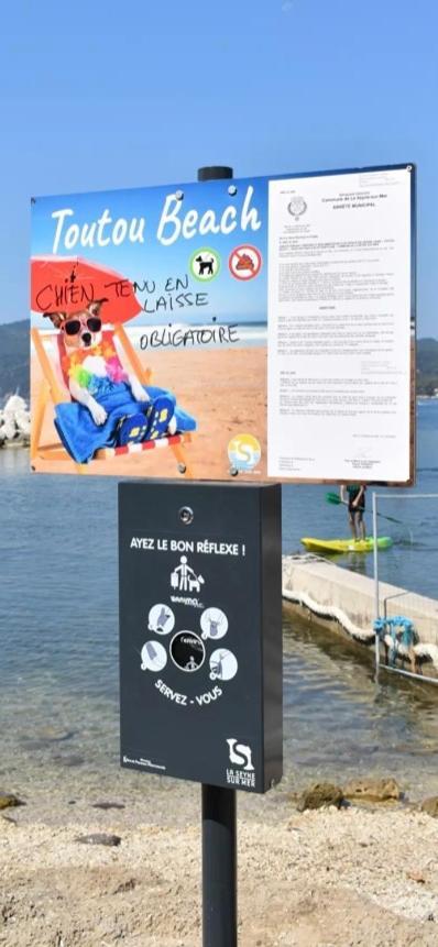 Studio Romy Les Pieds Dans L'Eau 10 M De La Mer La Seyne-sur-Mer Dış mekan fotoğraf